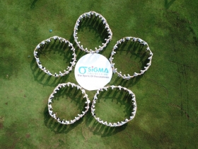 Du lịch Sigma 2019 – “One Team – One Dream”