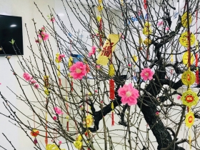 Sigma và câu chuyện những ngày cuối năm