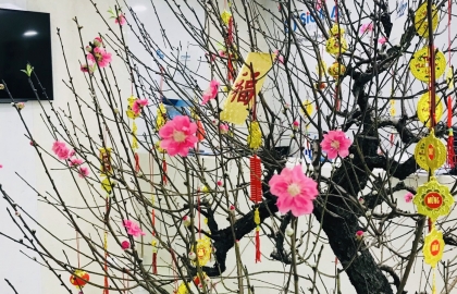 Sigma và câu chuyện những ngày cuối năm